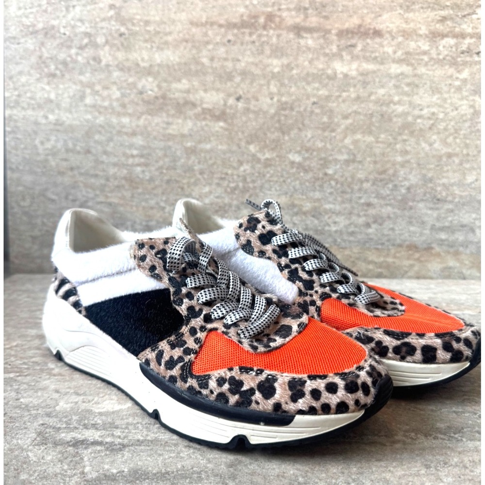 Oasis Society Women's Leopard & Orange‎ Sneakers Golden Goose Style NWOT Size 8